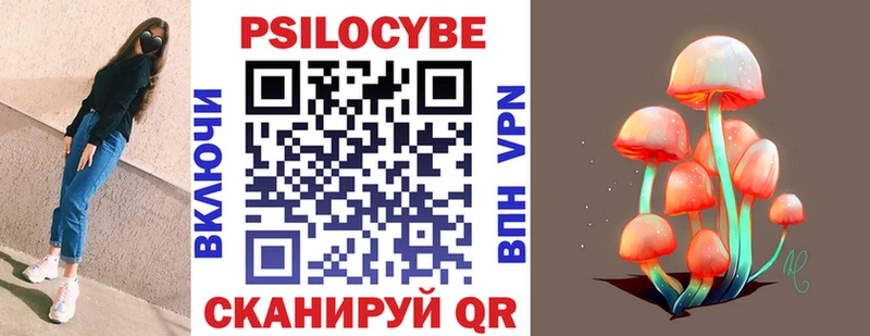 Галлюциногенные грибы Psilocybe  Купить где  Азов